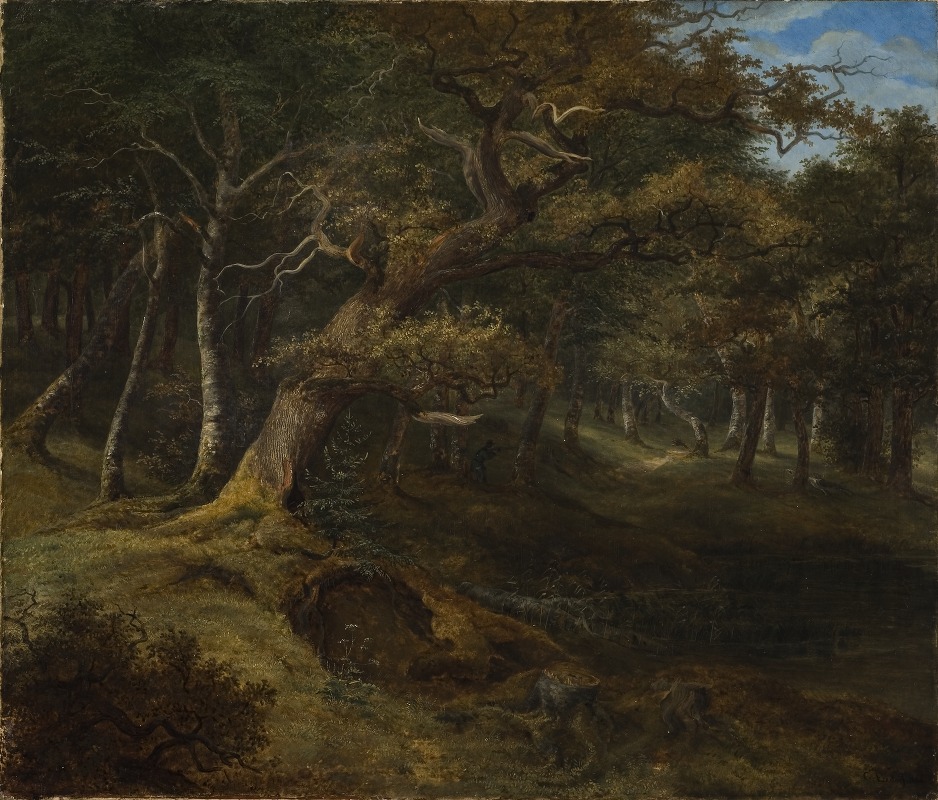 Christian Ezdorf - Hare-hunt in a Beech Forest
