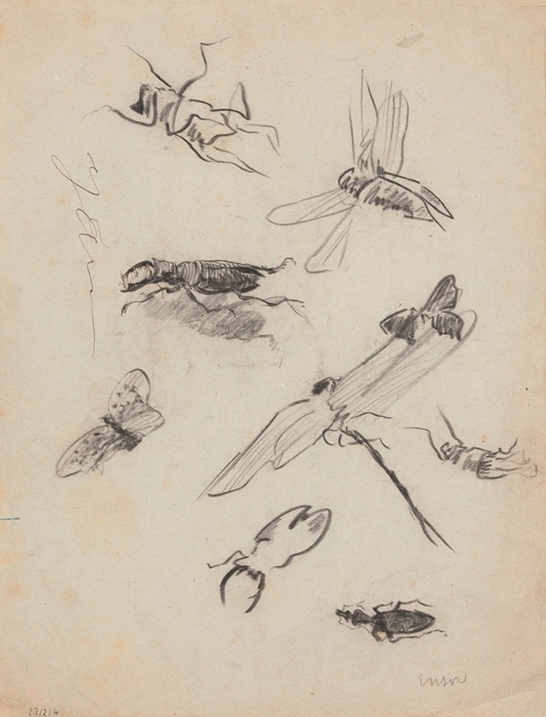 James Ensor - Insects