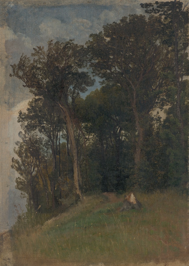 Friedrich Carl von Scheidlin - At the Edge of a Forest
