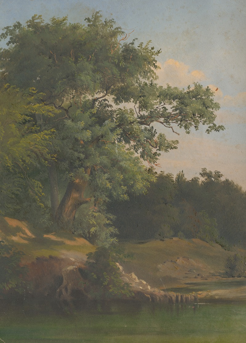 Friedrich Carl von Scheidlin - In the Forest