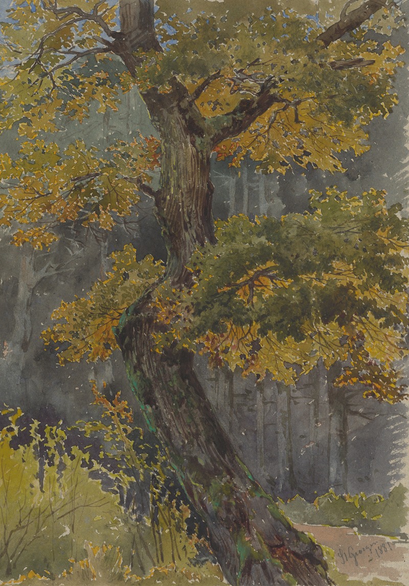 Friedrich Carl von Scheidlin - Study of Broadleaved Tree. Motif from Svätý Jur