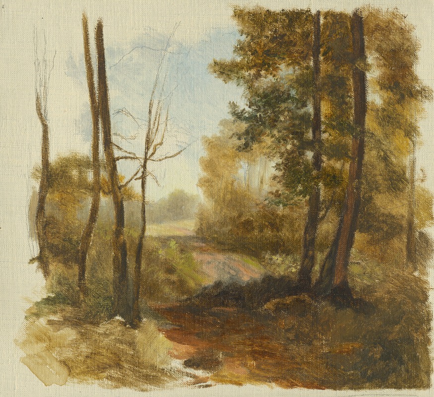 Jan Nowopacký - Forest Path