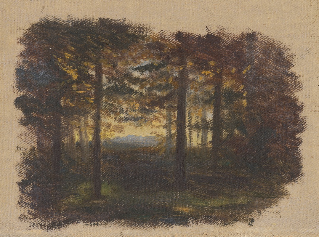 Jan Nowopacký - In the Woods before Sunset