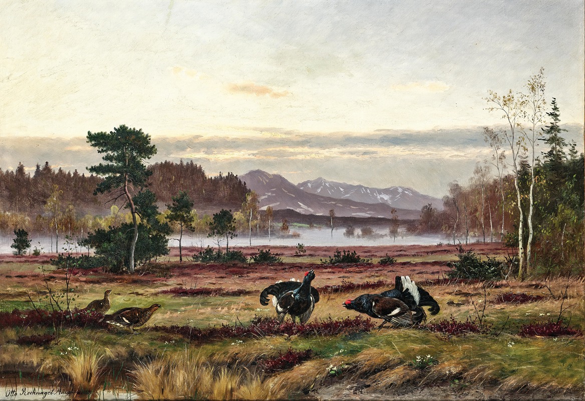 Otto Recknagel - Black grouse courtship in the Alpine foothills