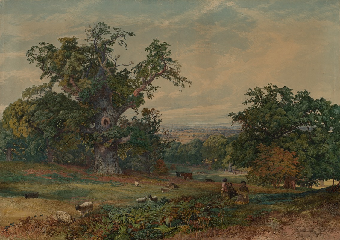 Bradford Rudge - View near Bedford