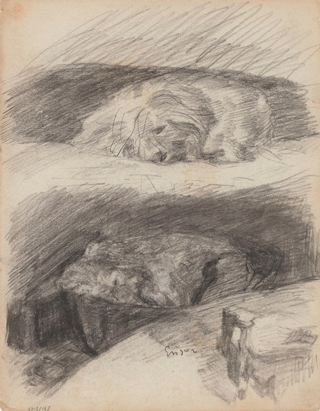 James Ensor - Sleeping Dogs