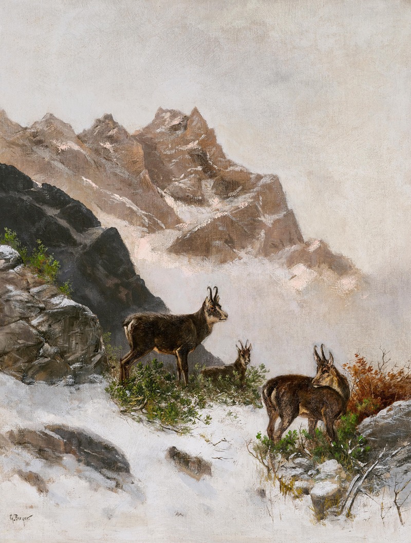 Georg Berger - Chamois in the Snow