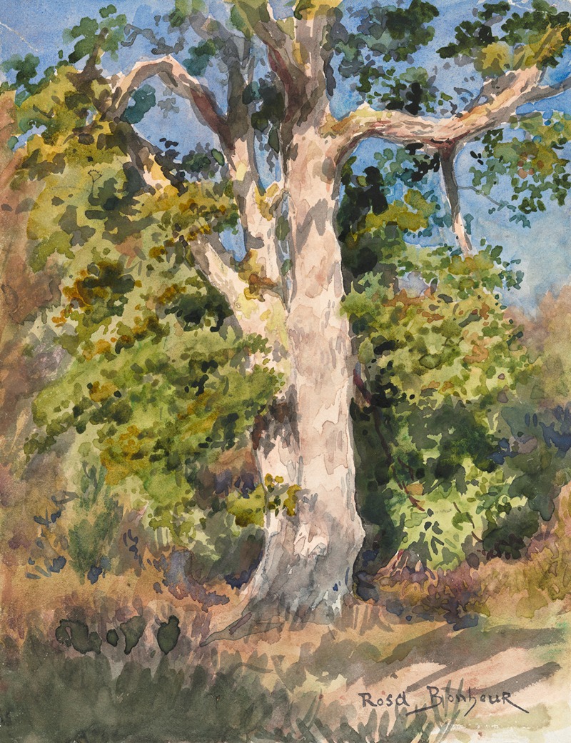 Rosa Bonheur - Tree Study