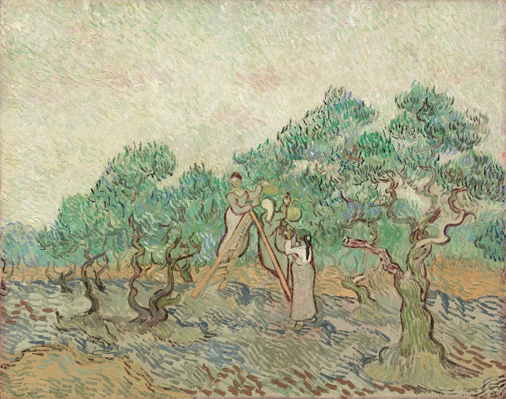 Vincent van Gogh - The Olive Orchard