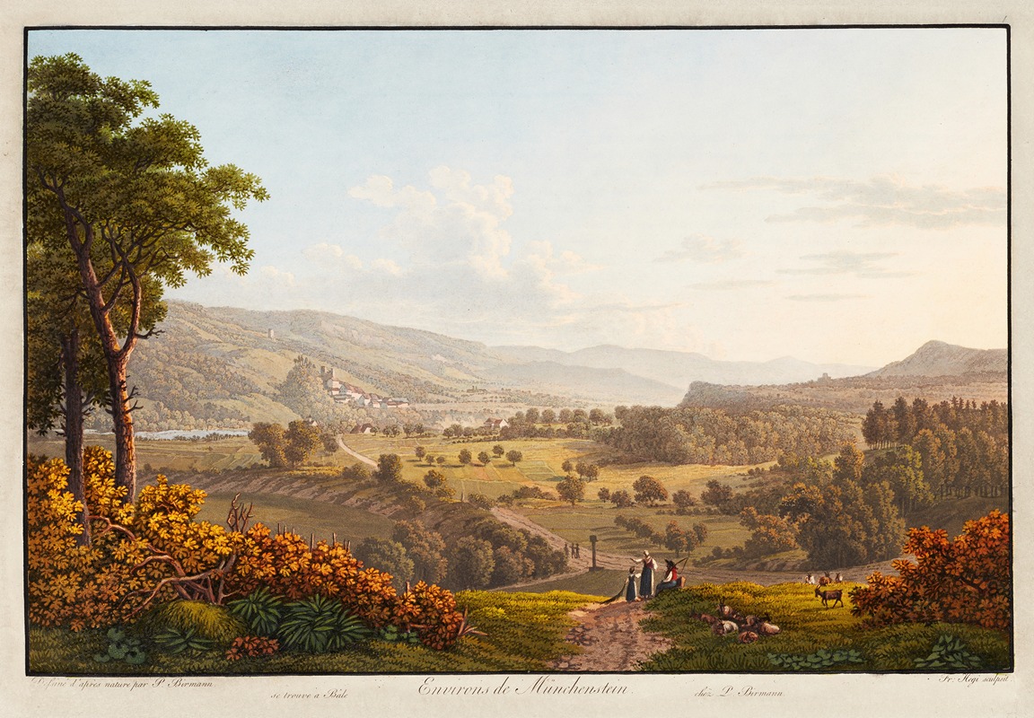 Peter Birmann - Environs de Münchenstein