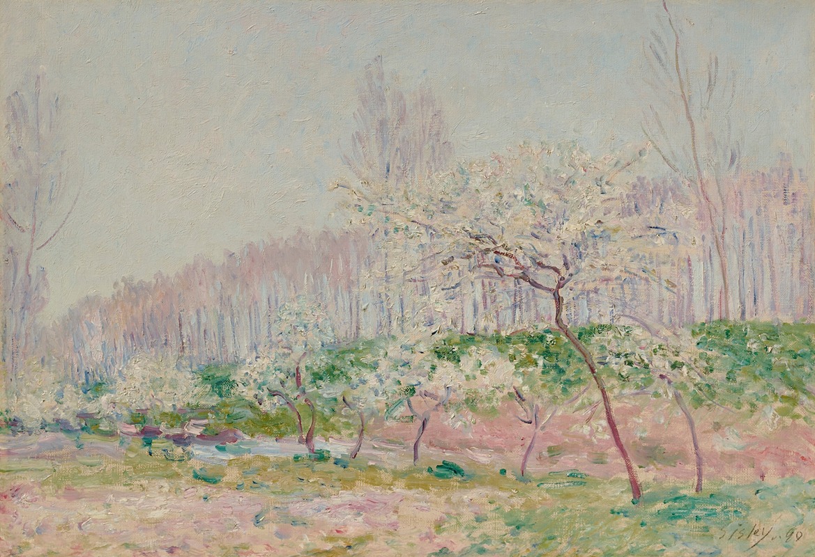 Alfred Sisley - Pommiers en fleurs