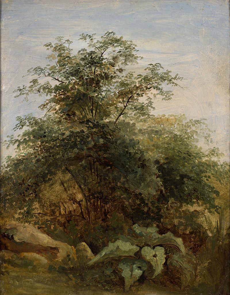 Pierre-Henri de Valenciennes - Study of a bush, plants and rocks next to the lake Nemi