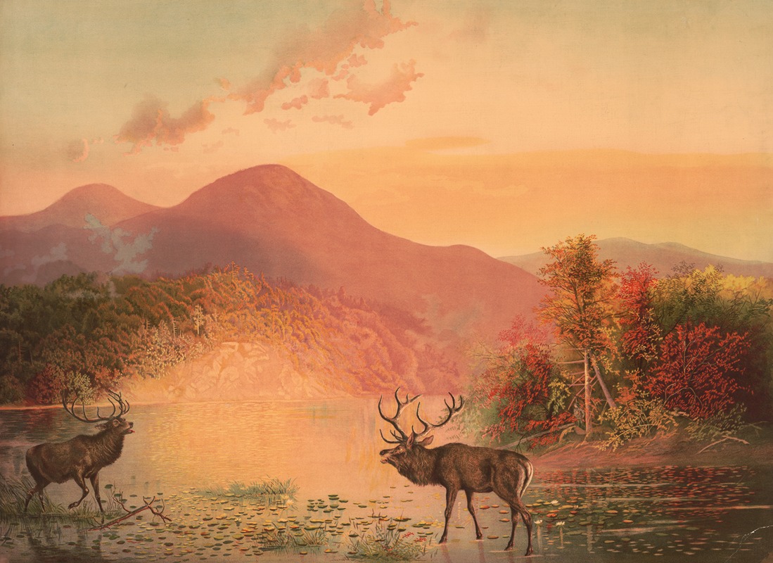 Joseph Hoover - Deers retreat