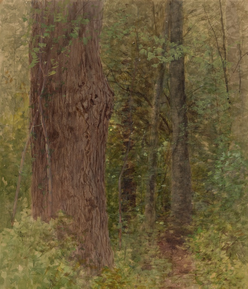 Albert Fitch Bellows - Close-up of trees in forest