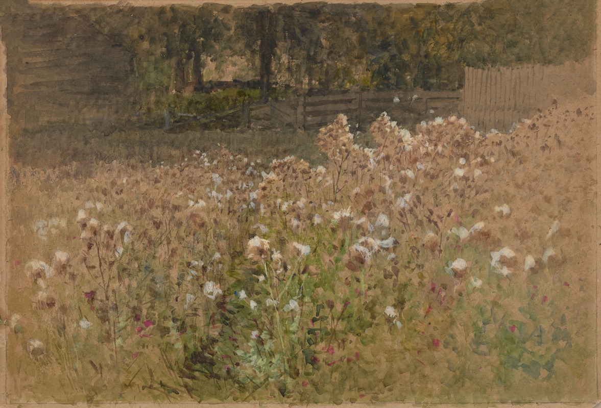 Albert Fitch Bellows - Flowers in field