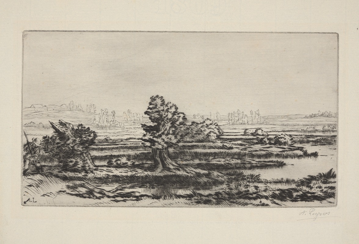 Alphonse Legros - Peat-bogs