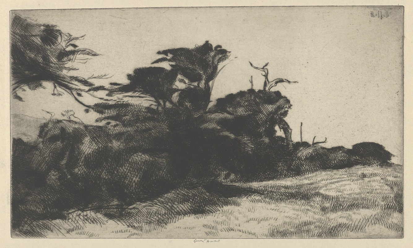 Ernest Haskell - Cypress Study No. 2