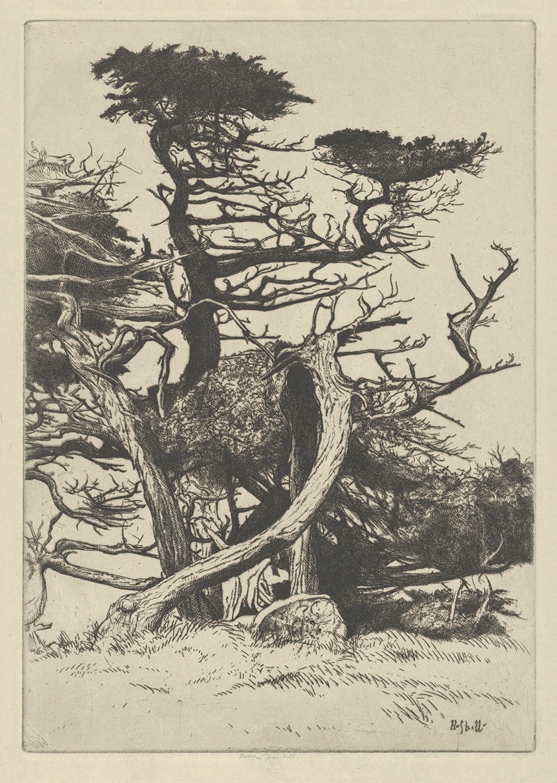 Ernest Haskell - Line of Beauty