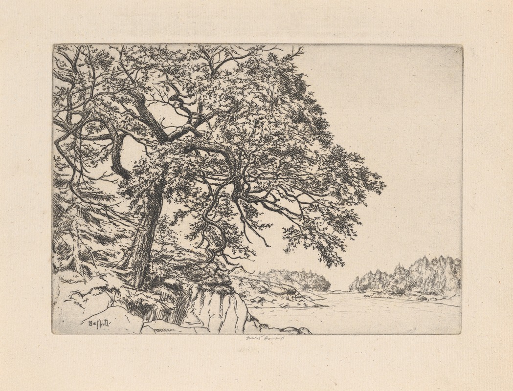 Ernest Haskell - Marin’s Oak