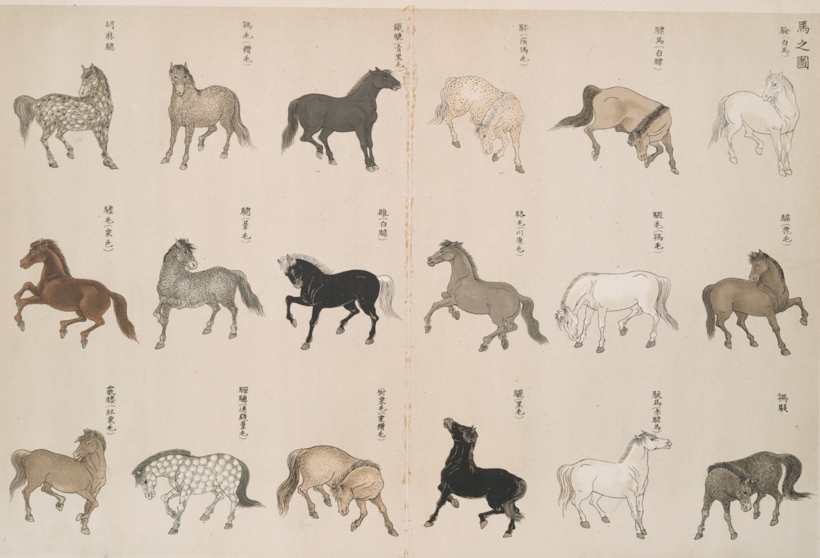 Shigeo Inobe (Editor) - An illustration of horses