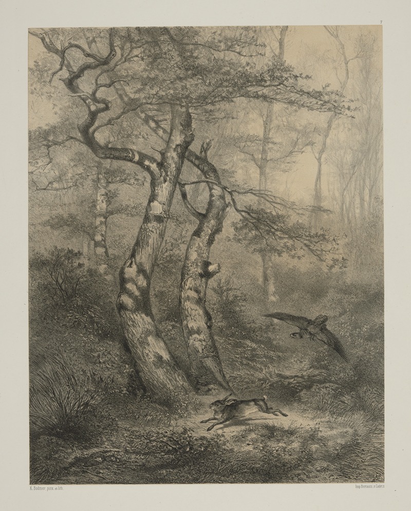 Karl Bodmer - Hare pursued by a goshaw