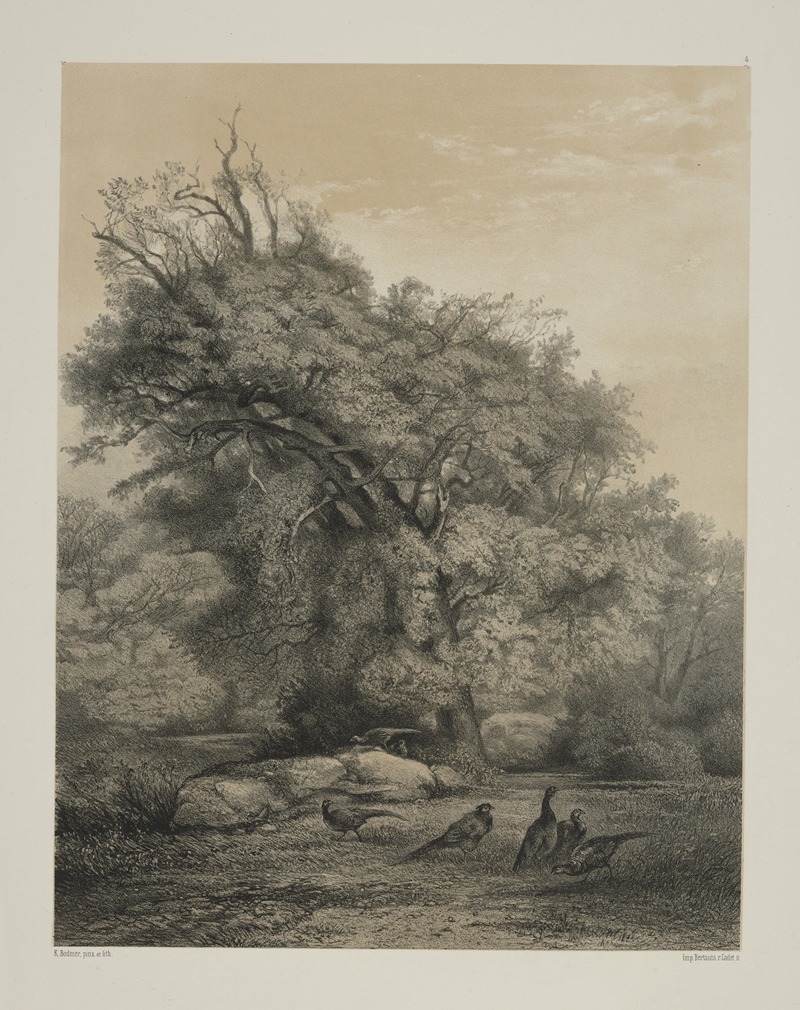 Karl Bodmer - Pheasants