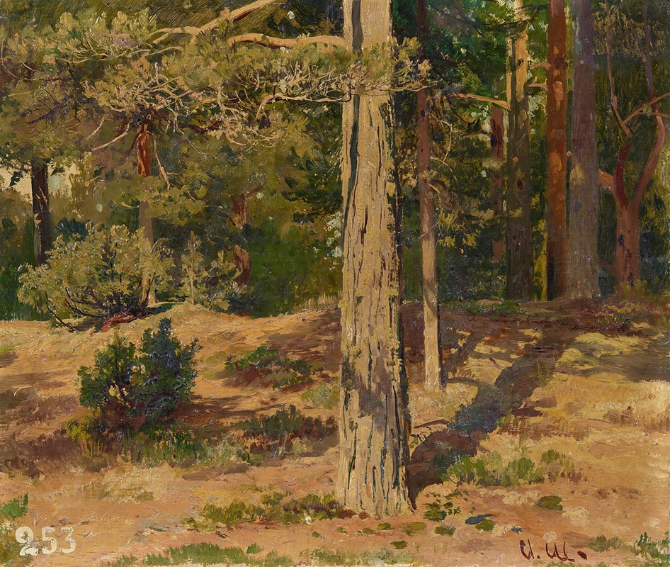 Ivan Shishkin - Waldinneres
