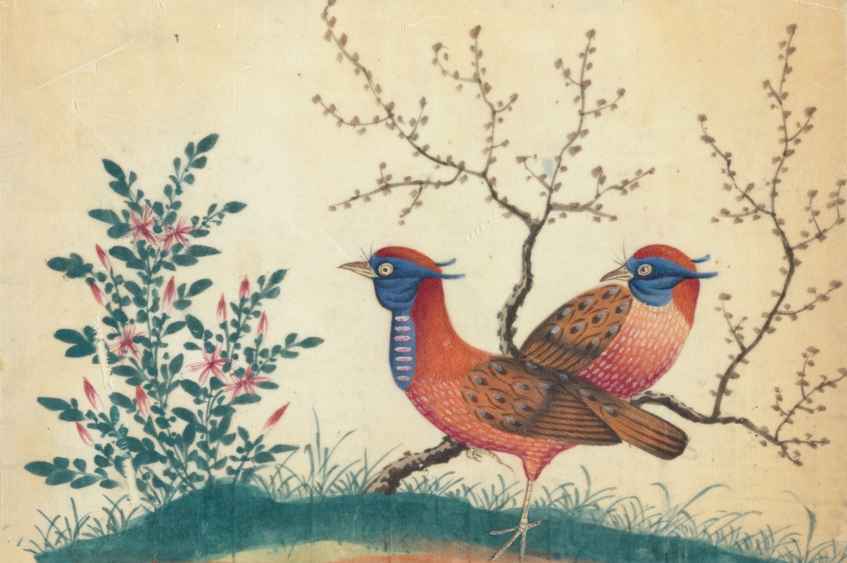 Anonymous - Two pheasant-like birds with flowering plants