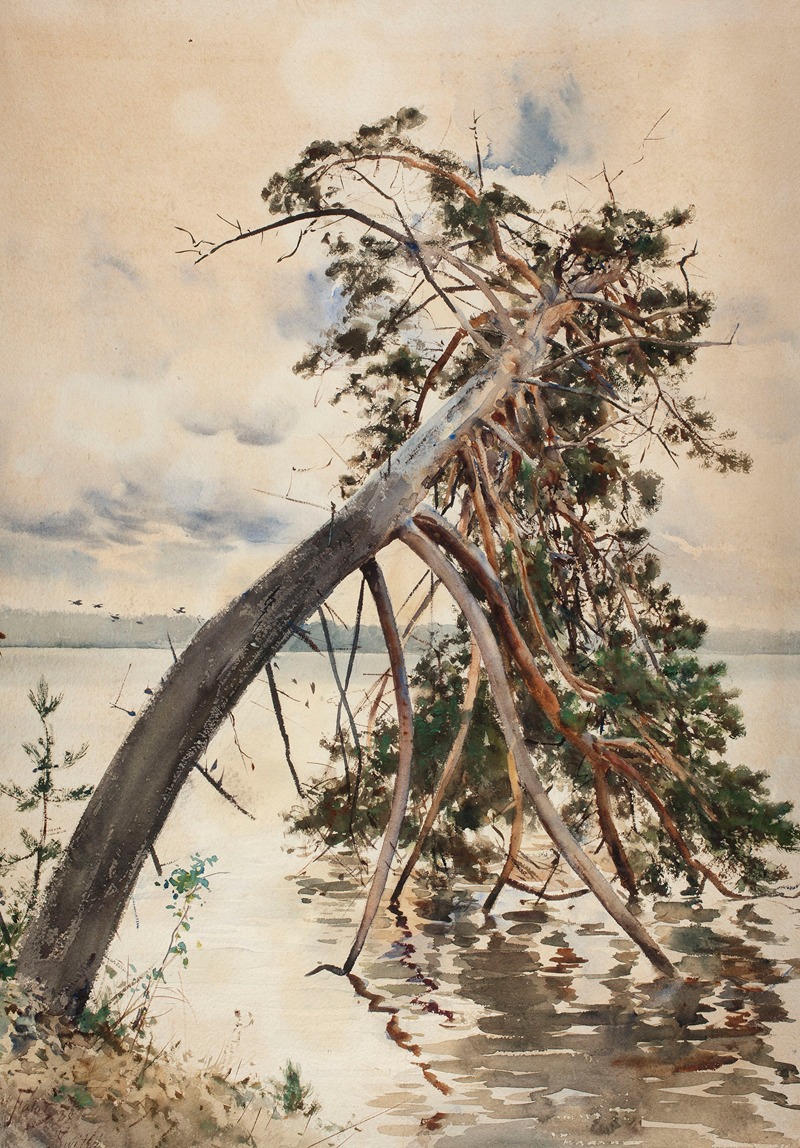 Julian Falat - Świteź