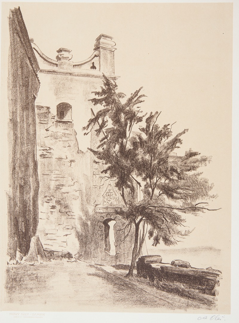 Andrzej Zygmunt Oleś - Nowy Sącz – Zamek