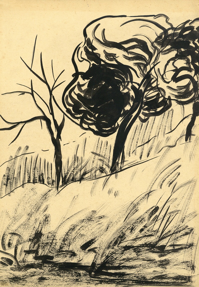 Albert Daenens - Landschappen Natuur