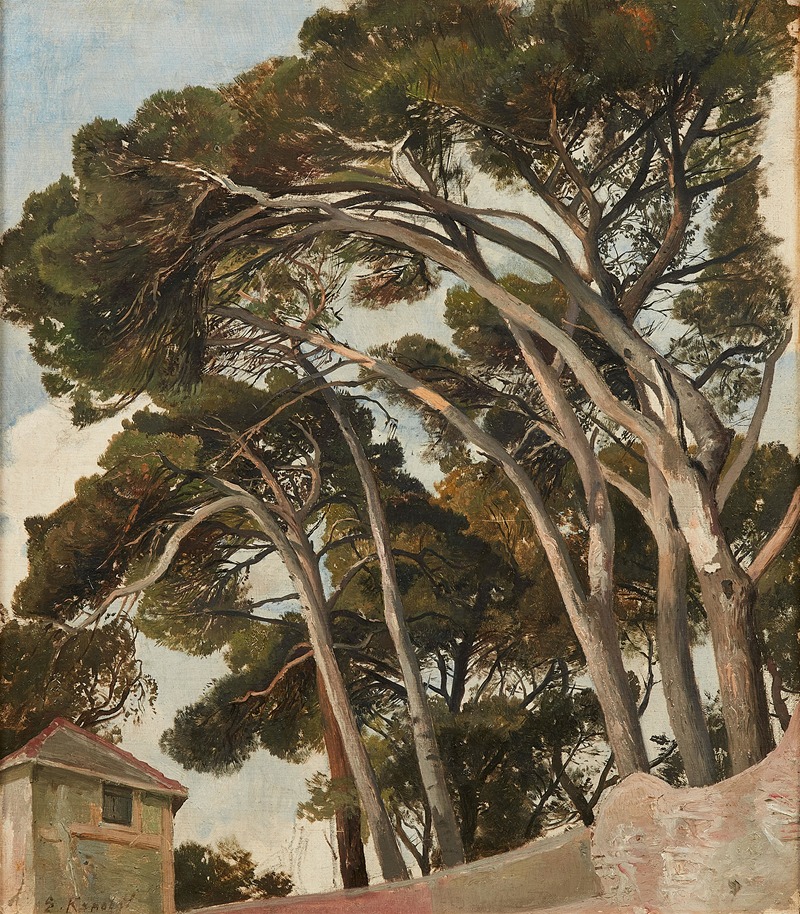 Edmund Friedrich Kanoldt - Pinienstudie