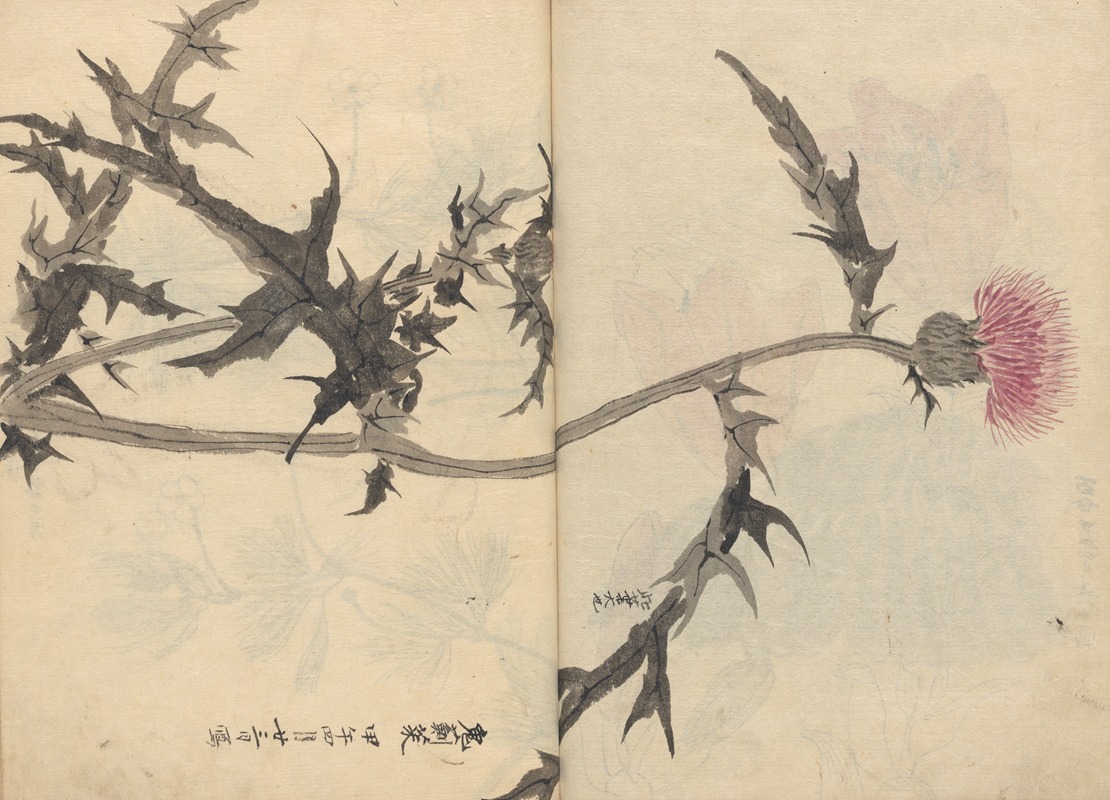 Ariyoshi Kondo - Sketchbook Pl.083