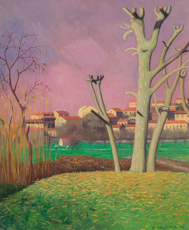 Félix Edouard Vallotton - Platanes ébranchés, Cagnes