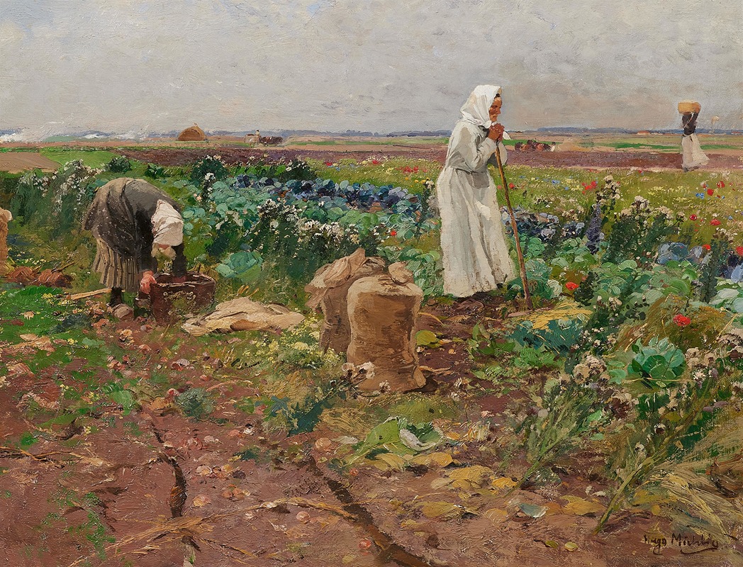 Hugo Mühlig - Bei der Kartoffelernte