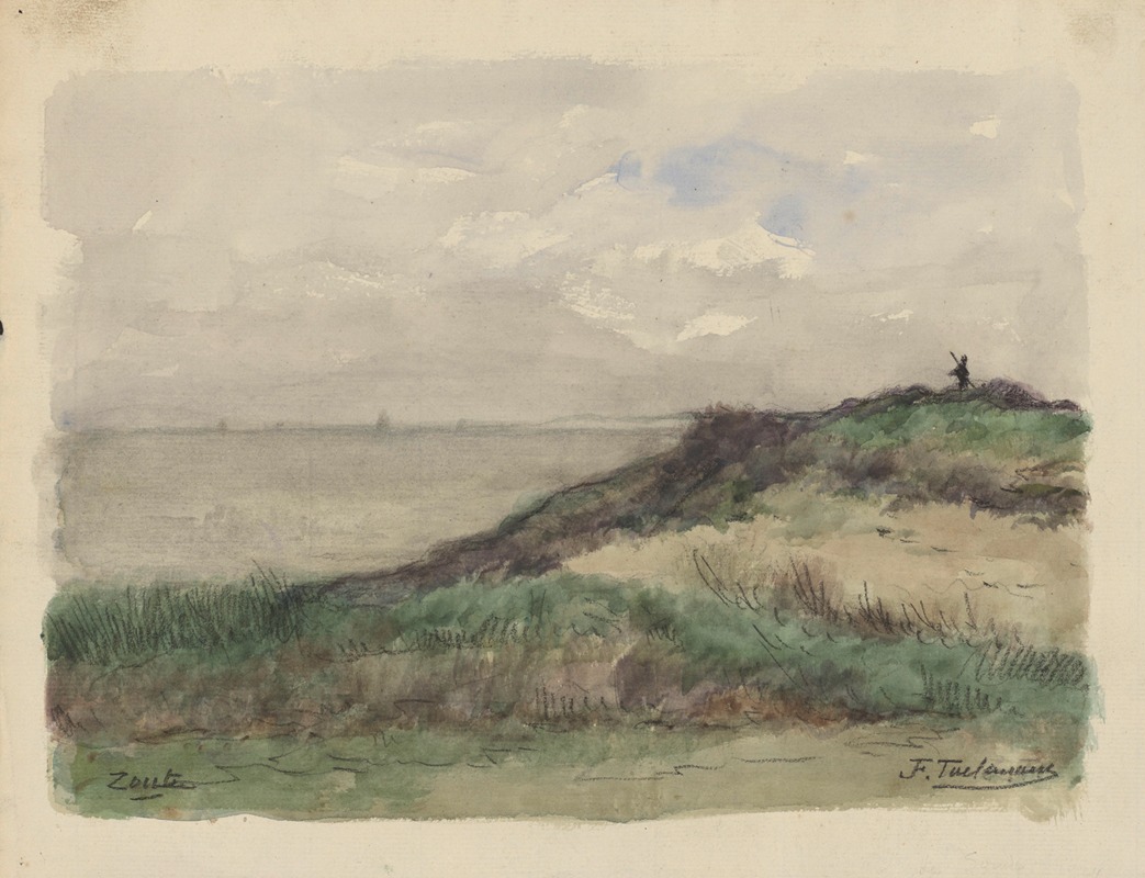 Jean-François Taelemans - Dunes sur le littoral au Zoute