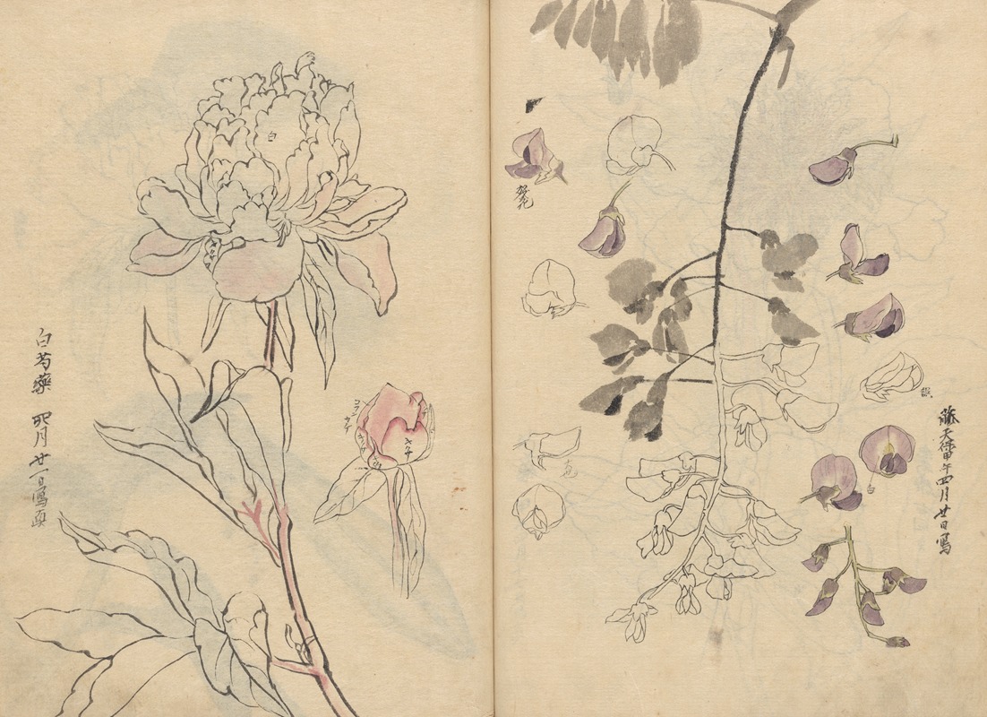 Ariyoshi Kondo - Sketchbook Pl.110