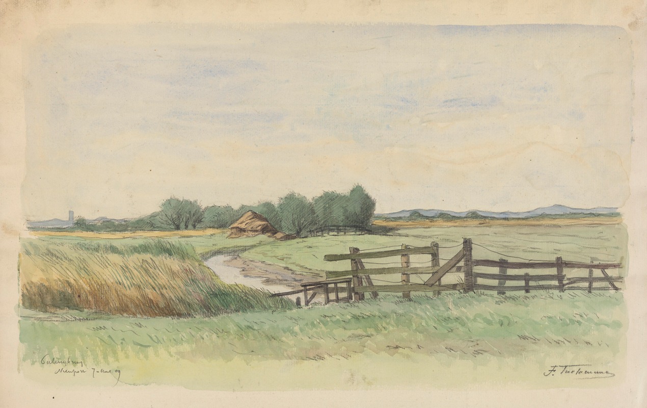Jean-François Taelemans - Palingbrug – Nieuport