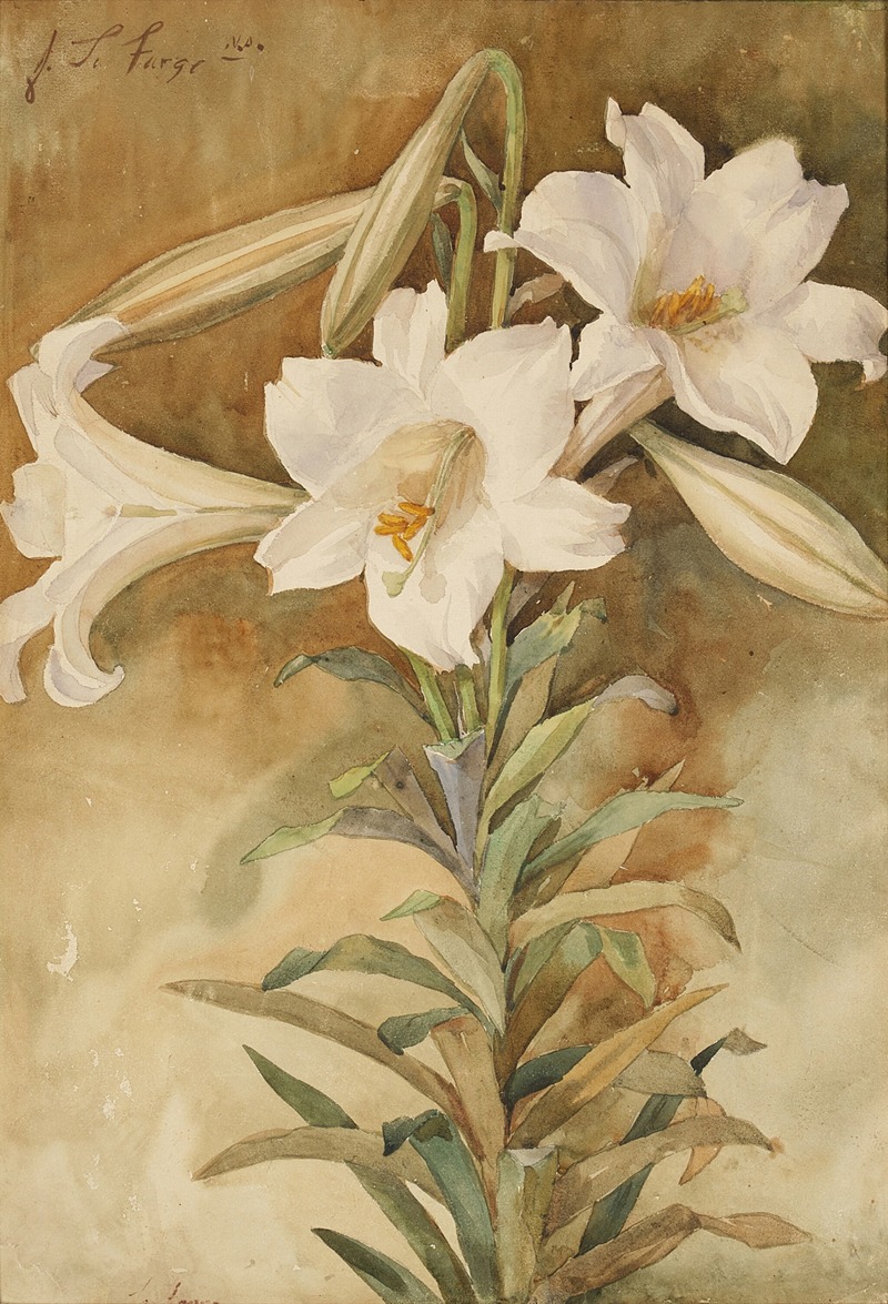John La Farge - Still Life of Easter Lilies