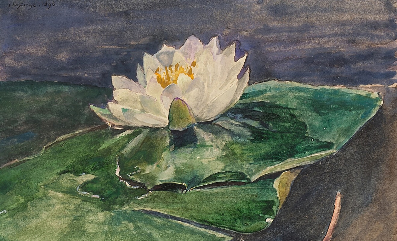 John La Farge - Water Lily