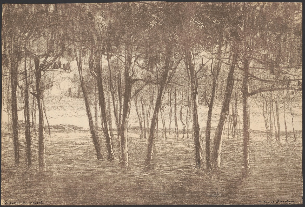 Richard Baseleer - The edge of the forest