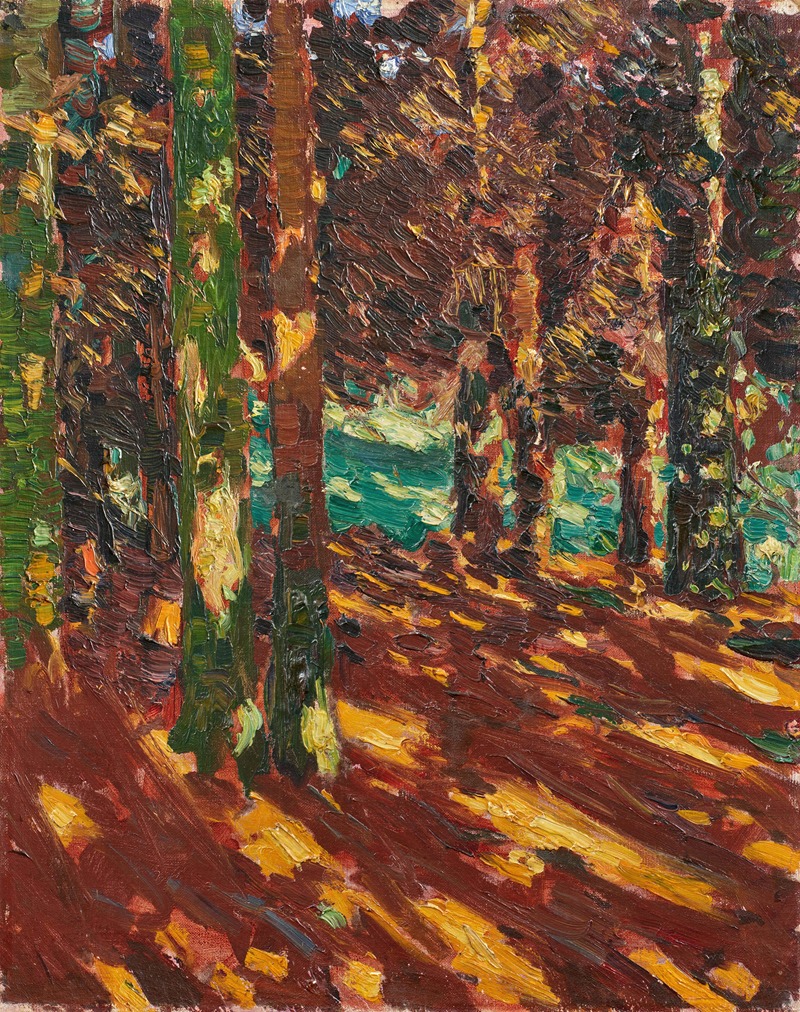 Walter Ophey - Sonnenflecken im Tannenwald