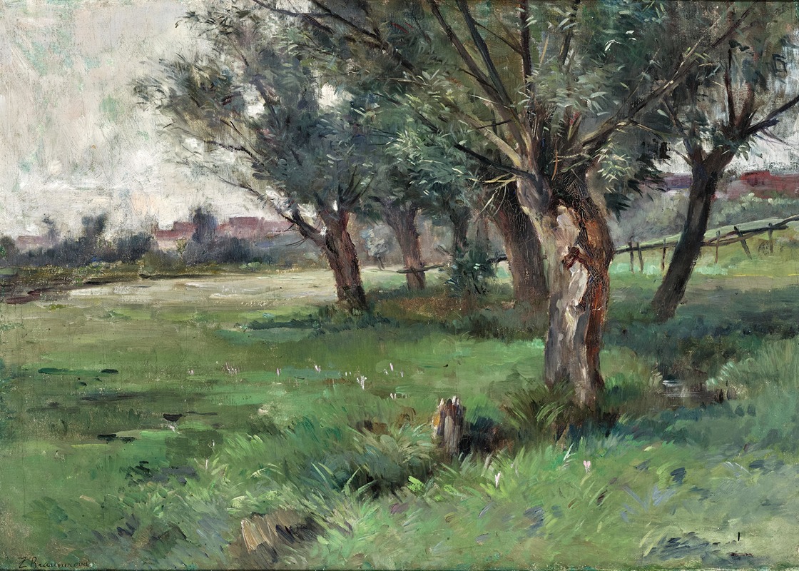 Zdenka Braunerová - A Landscape
