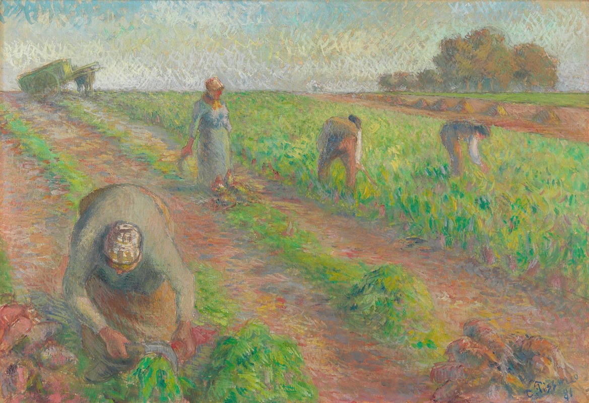 Camille Pissarro - The Beet Harvest