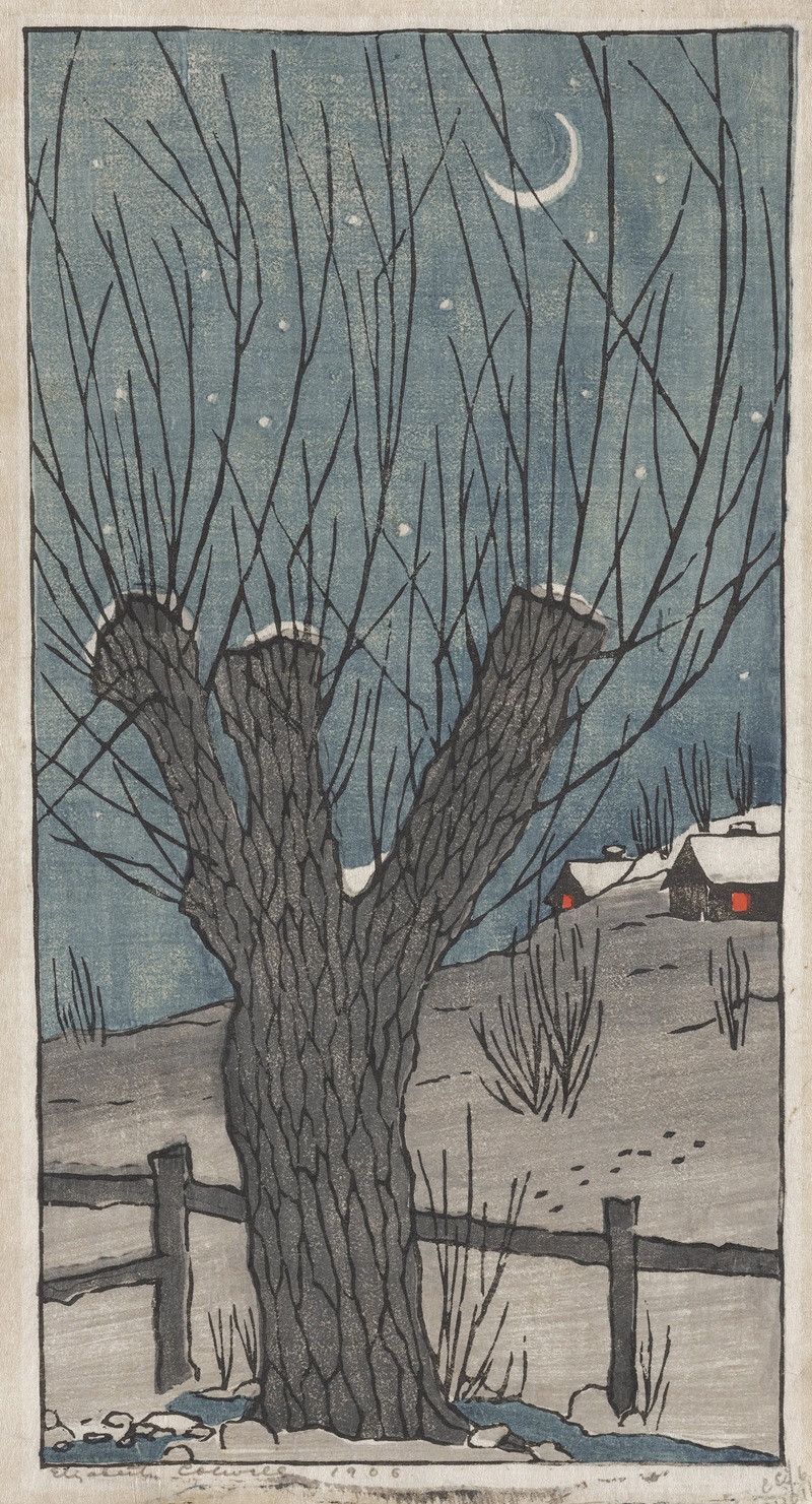 Elizabeth Colwell - The Willow