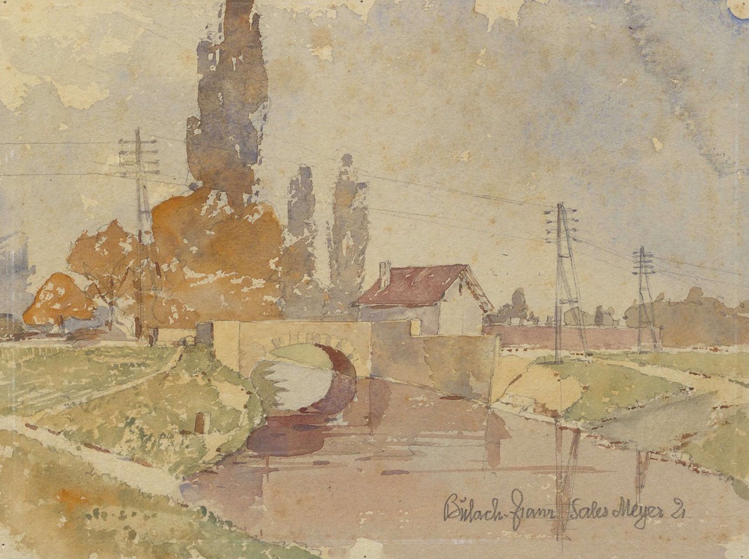 Franz Sales Meyer - Bulach