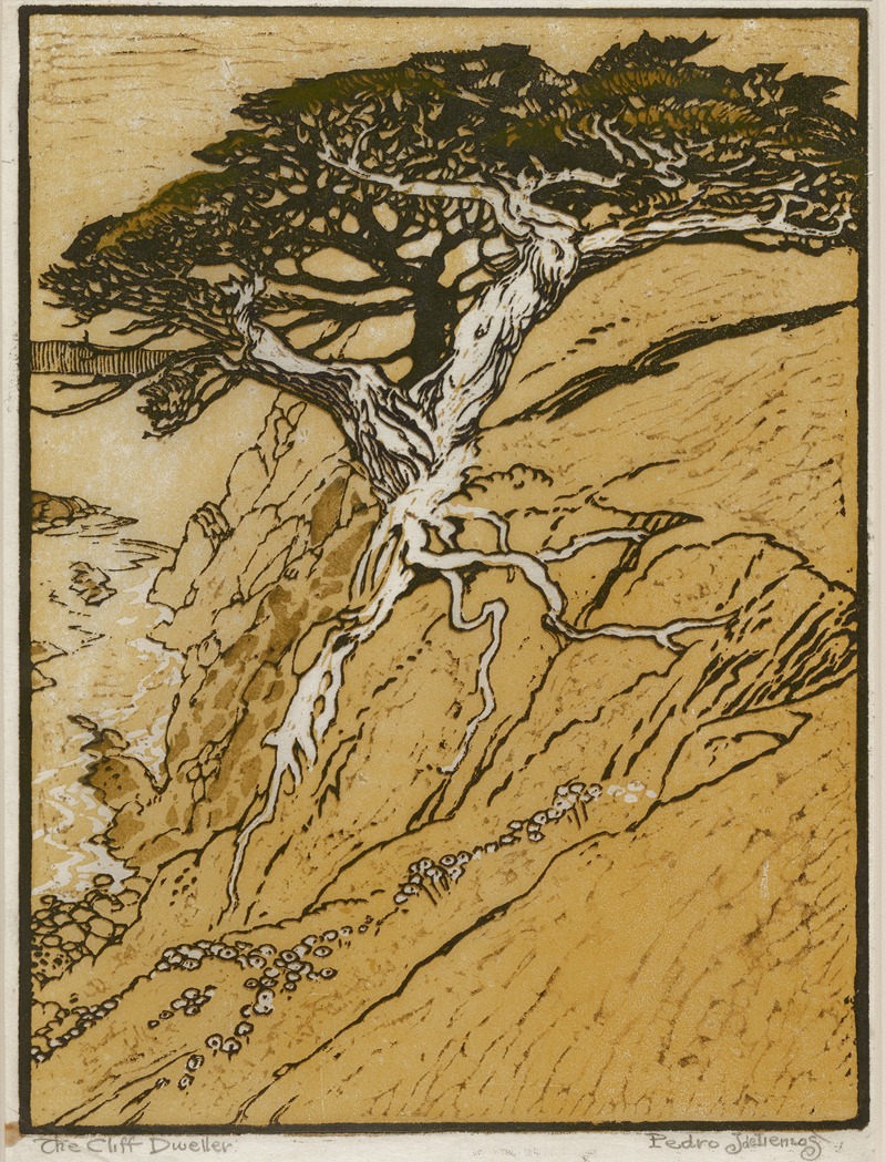 Pedro de Lemos - The Cliff Dweller