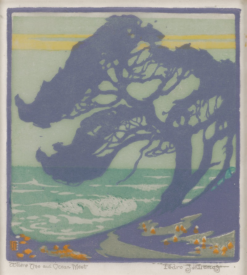 Pedro de Lemos - Where Tree and Ocean Meet