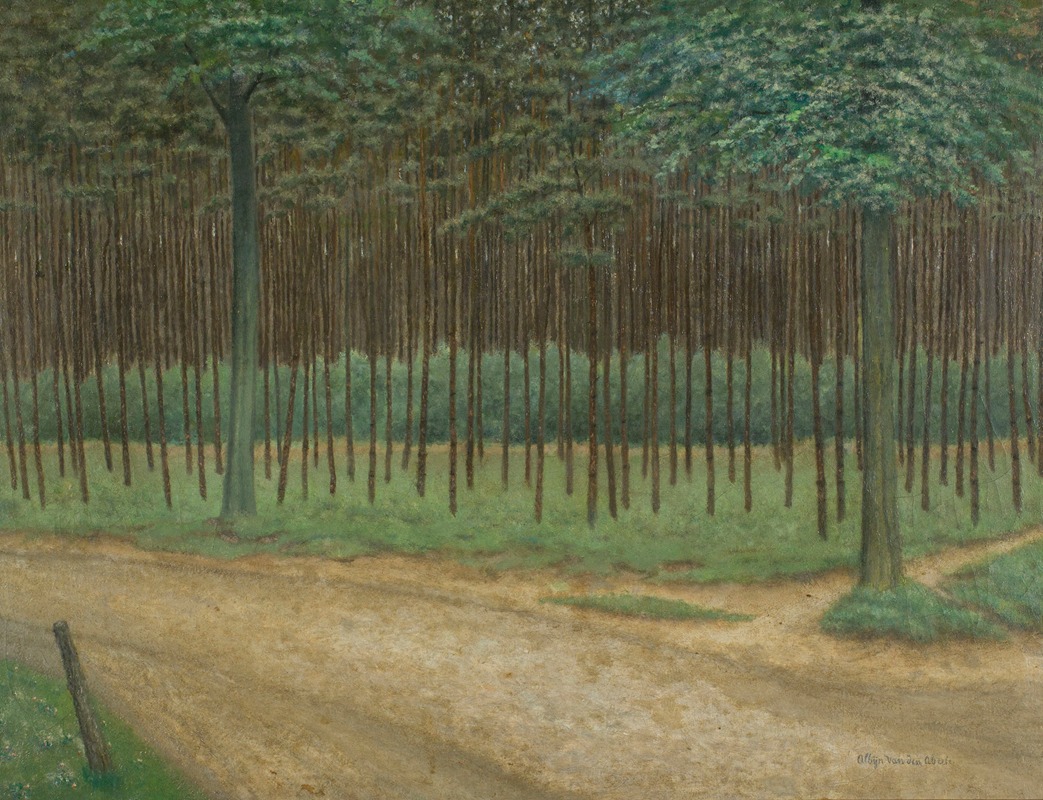 Albijn Van den Abeele - Forest Trail