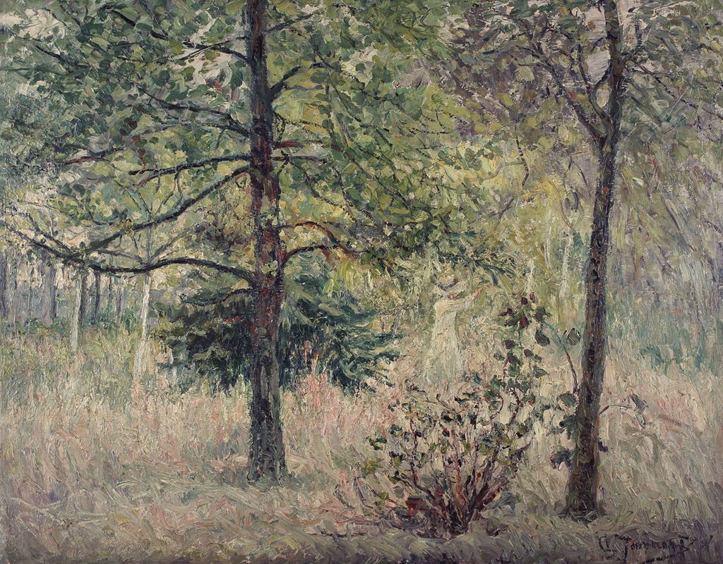 Clémence Jonnaert - Forest Landscape